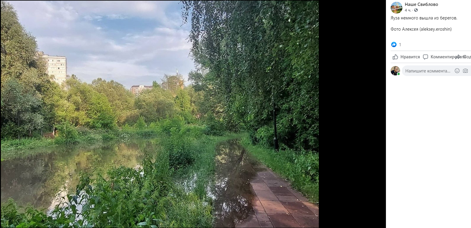 Яуза вышла из берегов. Яуза река парк Свиблово. Парк Свиблово фото.