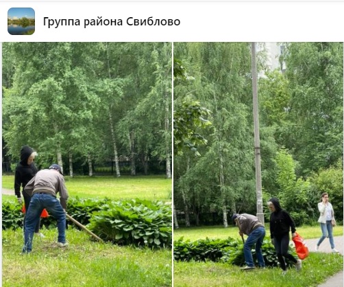 Сотрудники &#171;Жилищника&#187; привели в порядок цветы на Капустинском пруду